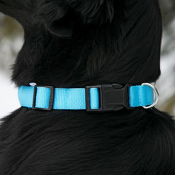 Ошейник с подсветкой Двойная полоса размер L, ОШ 45-52 х 2,5 см 3 режима свечения голубой - Пижон фото 4