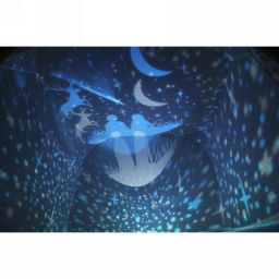 Диско-шар "Fantasy - Ушки" (в комплекте 6 картинок) 13*14 см, 5 реж, батарейки 4хАAА, USB, RGB (220V)