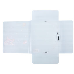 Лео Учись Папка на резинке A4 LRF-06 450 мкм 35 мм песок 5 шт. 04-Корги