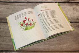 Волшебная почта фей (выпуск 2)