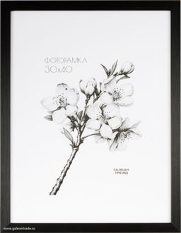 Фоторамка 30x40 / ZR208B-22 / ф