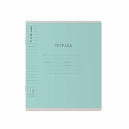 Цена за 280 шт. Тетрадь школьная ученическая ErichKrause Классика Visio ассорти, 12 листов, частая косая линейка (в плёнке по 10 шт.) фото 17