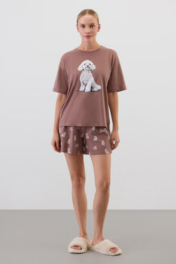 ddea6d8cb3c358576be894d58bfda938ecuw71mn2amicukc5q