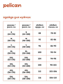 SFTH6919U Футболка мужская - Pelican фото 4