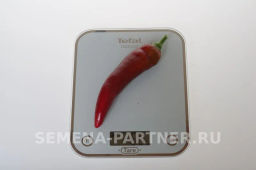 Перец острый Эдвин - Партнер фото 4