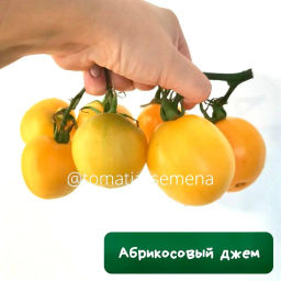 Абрикосовый джем