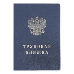 Бланк «Трудовая книжка» без голограммы