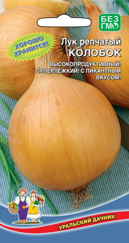 Лук репчатый КОЛОБОК  Великолепно хранится!