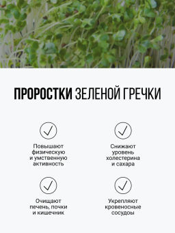 Смесь из ПЯТИ видов проростков БЕЗ ГЛЮТЕНА 150г (зеленая гречка, чечевица, нут, кукуруза, фасоль) (5