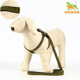 Комплект амуниции рельефный, поводок 120 х 1,5 см, ОГ 36-49 см, жёлто-чёрный