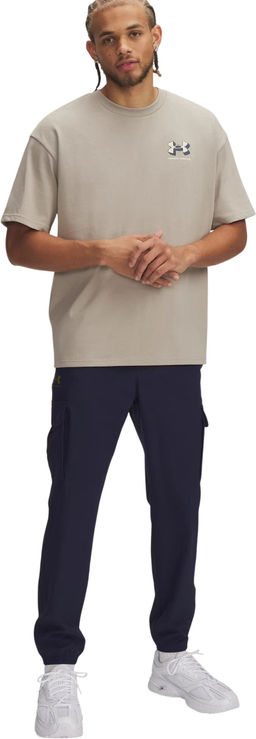 Брюки мужские