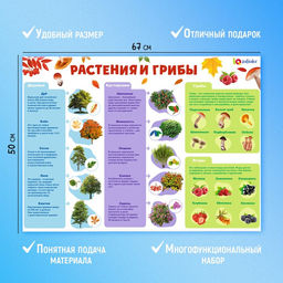 Обучающие плакаты Для подготовки в школе - Iq-zabiaka фото 10