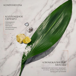 Дезодорант Белый мускус. Антиперспирант, 150мл. - Zeitun фото 3