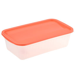 Контейнер пластмассовый 3л, 28,5х15,5х8,5см, универсальный, полипропилен (Россия)