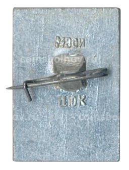 Значок Гусь-Хрустальный