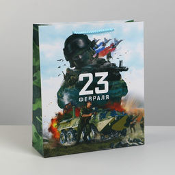 Цена за 2 шт. Пакет подарочный ламинированный, упаковка, «С 23 февраля», M 26×30×9 см