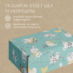 VAL PC-BC-GBk Подарочные коробки - 3шт.: 13*10*4,5, 23*14*7,5, 26*26,5*10см. PARTY CATS, шт - Valiant фото 13