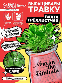 Набор для опытов Выращиваем травку своими руками, красный