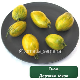 Гном Дерзкая Мэри