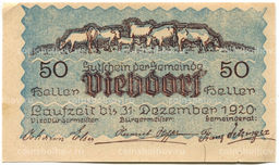 Банкнота 50 геллеров 1920 года Австрия  Фидорф (нотгельд)