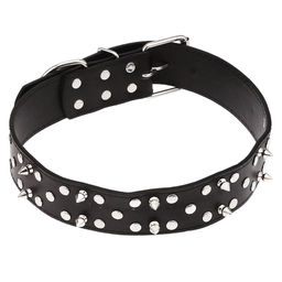 Пэт тойс (Pet toys) Ошейник для собаки Шипы, клепки 3,9х68см, металлическая застежка, под кожу, металл декор, на картоне, цвета в ассортименте: красный, синий, черный, темно-коричневый (Китай)