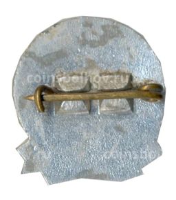 Значок Рига