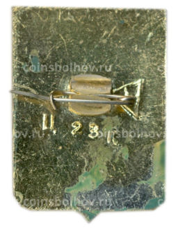 Значок Ялуторовск