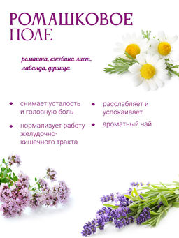 Ромашковое поле - Травы горного крыма фото 4