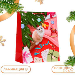 Пакет подарочный "Кошечка", 26 х 32 х 12 см.