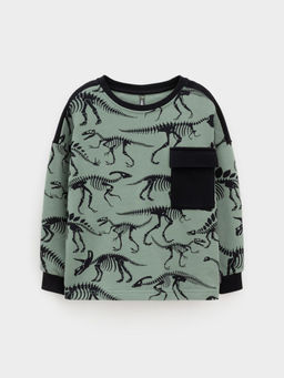 КР 302773/хаки 5107 Н029 к612 джемпер (свитшот) для мал