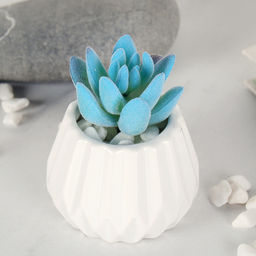 Суккулент искусственный 5х7 см / GN144 /уп 100/ - Галеонтрейд фото 3