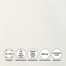 Холст грунтованный на подрамнике VISTA-ARTISTA ACMG-4060 100% хлопок 40 х 60 см 380 г/кв.м 2 шт Трубежской среднезернистый
