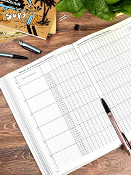 Классный журнал 10-11 класс арт. 5193