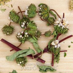 2 шт. Зопник (трава и цветы)