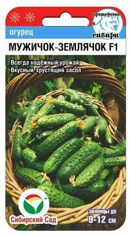 Огурец Мужичок-землячок F1 7шт. (Сибирский сад)