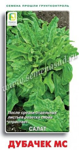Салат Дубачек МС (ЦВ) 1гр.