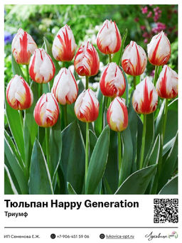 Тюльпан Happy Generation (Триумф)