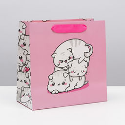 Пакет подарочный ламинированный квадратный, упаковка, «Котики», 22×22×11 см