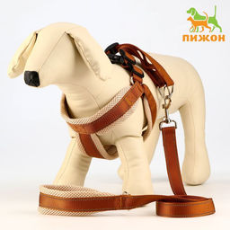 Комплект амуниции светоотражающий с мягкими шлейкой и ручкой, поводок 120 х 2 см, ОШ 46-69 см, корич