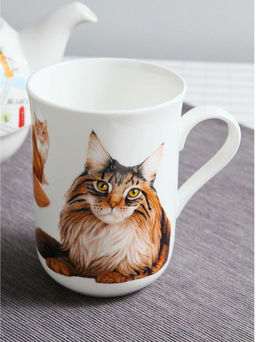 Кружка Мейн-кун, 0.3 л