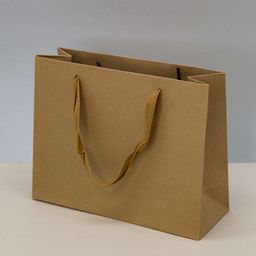 3 шт Пакет подарочный (S) "Craft", horizontal (25.4*20*9.5)