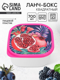 Цена за 2 шт. Ланч - бокс квадратный Гранат, 700 мл