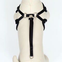 Комплект с мягкой шлейкой и бантиком Перья, размер M, поводок 120 x 1,5 см, ОГ 28-46 см - Пижон фото 7