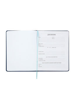 Дневник школьный «Рыцарь» 1-11 класс, ляссе, обложка искусственная кожа, синий