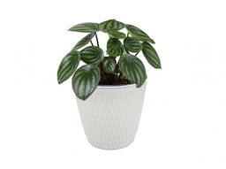 Кашпо KERAMA 4,6 л, арт. 496 ЭЛЬФ