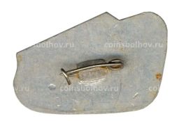 Значок Саратов