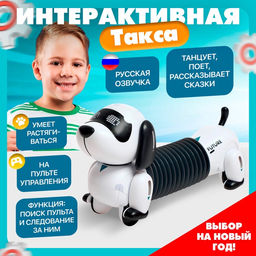 Робот собака Такса ZHORYA, на пульте управления, интерактивный: звук, свет, на аккумуляторе, на русском языке