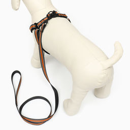 Комплект амуниции светоотражающий, размер M, ОГ 40-70 см, стропа 2 см, оранжевый - Пижон фото 3