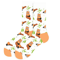 Носки р.35-40 Cute Animals Енот