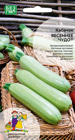 Кабачок ВЕСЕННЕЕ ЧУДО Ультраскороспелый! Кустовой! Мякоть светлая, плотная, вкусная и нежная! Урожайность до 10 кг/кв.м! - Уральский дачник фото 3